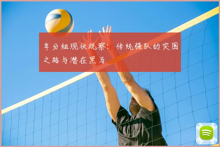 年分组现状观察:传统强队的突围之路与潜在黑马