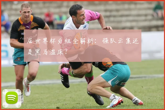 届世界杯分组全解析：强队云集还是黑马温床？