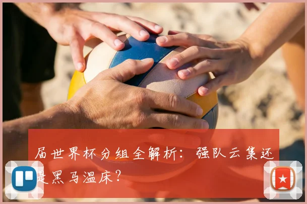 届世界杯分组全解析：强队云集还是黑马温床？